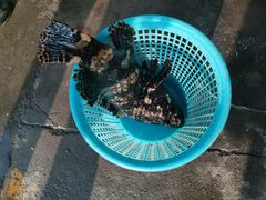 -喜相逢海鲜美食城(五邑平价农副产品批发市场店)