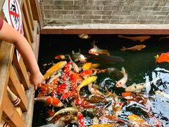 -侠成水上农庄(工业大道店)