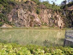 -中山市树木园