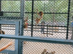 -长白岛森林公园