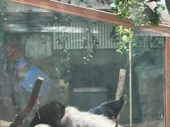 -青藏高原野生动物园