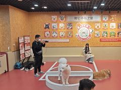 -和它·交个朋友·狗咖猫咖(爱琴海店)