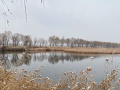 -野鸭湖国家湿地公园