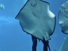 -珠海长隆海洋王国