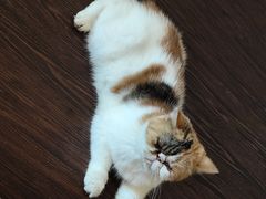 -猫岛主趣味餐厅(鼓浪屿店)