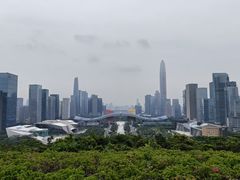 -莲花山公园