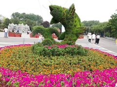 -石家庄市动物园