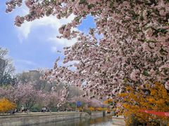 -元大都城垣遗址公园