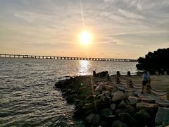 -宝安西湾红树林湿地公园