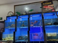 -金龙·打边炉(武进路店)
