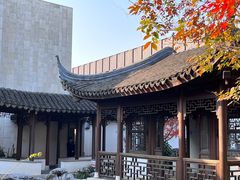 -秋霞圃