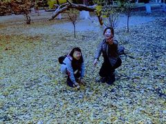 -辽宁大学(崇山校区)