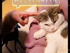 -有何Book(六堰体育馆店)