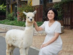 -灵玲国际马戏城