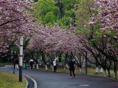 -苏州河梦清园环保主题公园