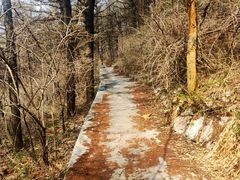 -崂山巨峰游览区