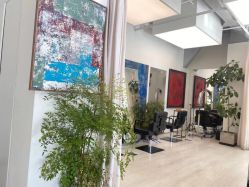 -Hair  Gallery