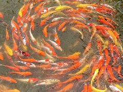 -楠溪江风景名胜区