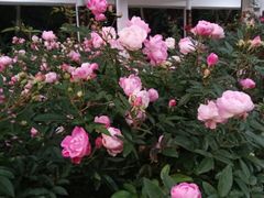 -人民公园(罗湖区)