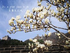 -居庸关长城