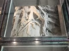 -金沙遗址博物馆