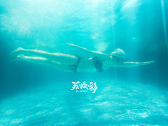 -龙洋游泳馆