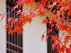 -狼山风景名胜区