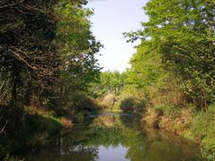 -桤木河湿地公园