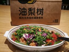 -油梨树 AVOCADO TREE(亮马桥店)