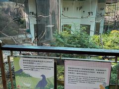 -九龙公园