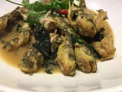 -石头咕(葵蓬店)