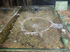 -味茂·老船夫1927(东海东路店)