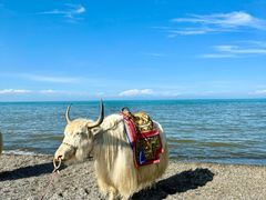 -青海湖国家重点风景名胜区