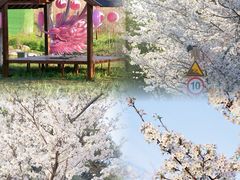 -长田漾湿地公园
