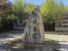 -阳台山自然风景区