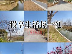 -嘉北郊野公园