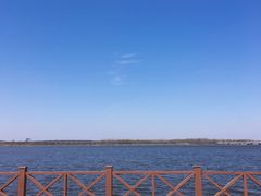 -丁香湖公园