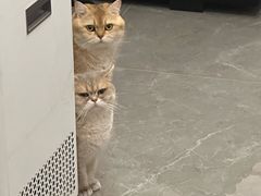 -湖畔居茶楼(湖滨店)