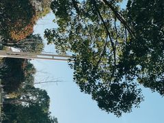 -滆湖低碳生态公园