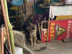 -上甘棠村
