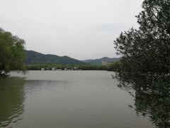-天下玉苑