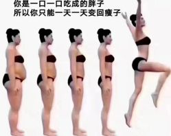 -苗塑堂减肥艾灸