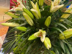 -广州天河希尔顿酒店