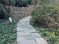 -杭州植物园