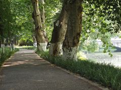 -沙河三洞古桥公园