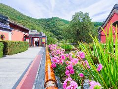 -潭柘寺景区