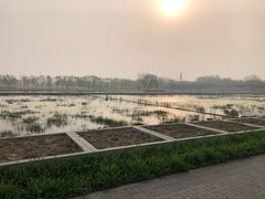 -大兴滨河森林公园