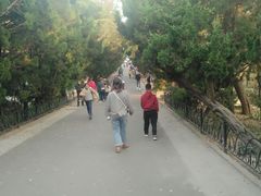 -八大关景区