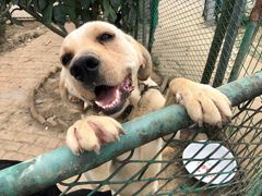 -呼吸森林·生态农庄农家乐私房菜