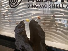 -青岛贝壳博物馆
